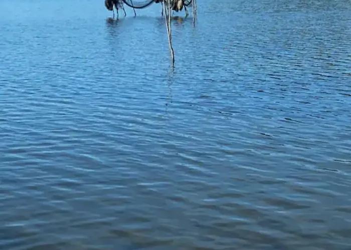 La Cave à Papé Appartement *